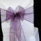 Plum Organza