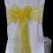 Bright Yellow Organza 
