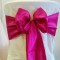 Raspberry Taffeta Sash