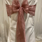 Mauve Silk Organza