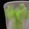 Fluro Lime Organza Sash