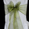 Green Two Tone Organza TT12