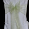Pistachio Organza PD19
