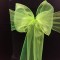 Fluro Lime Organza Sash