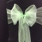 Mint Green Crystal Organza 