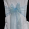 Sky Blue Organza  