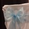 Sky Blue Organza