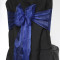 Navy Blue Organza  PD26