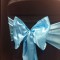 Turquoise Satin Sash