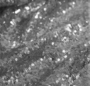 Silver Sequin 