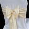 Dreamy Creamy Taffeta T18