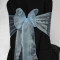 Sky Blue Organza 