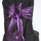 Plum Organza
