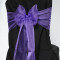 Purple Crystal Organza