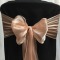 Blush Silk Organza