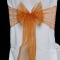 Burnt Orange Organza