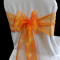 Orange Two Tone Organza TT33