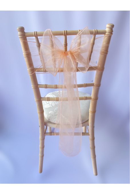 Pale Pink Organza Sash Pale Pink Organza Sash