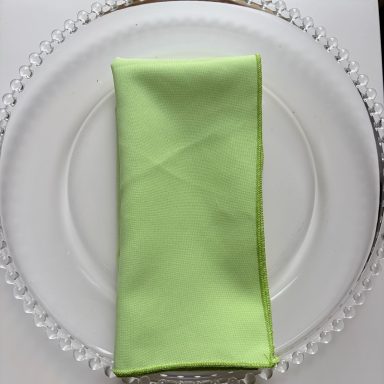 Seafoam Green Napkin