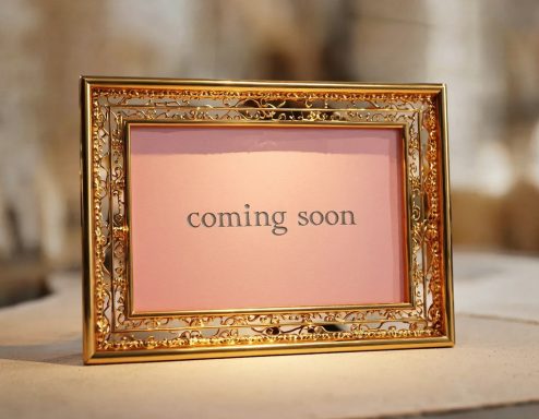 More Images coming soon 