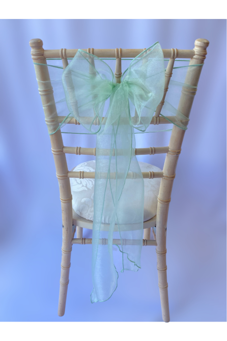 Mint Crystal Organza Sash Mint Crystal Organza Sash