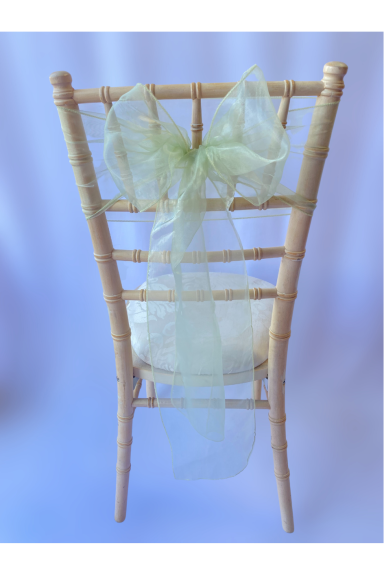 Pistachio Organza Sash